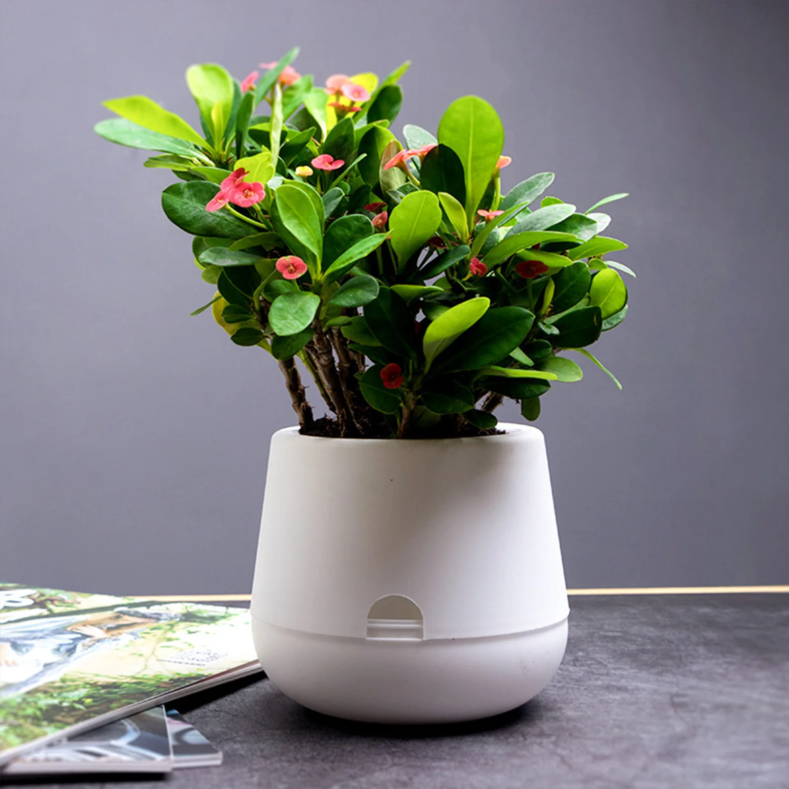 Hydroponic Flower Pot Lazy Flower Pot Plastic Self Watering Planter Flowerpot Garden Plants Basket Nursery Pots Home Decoration