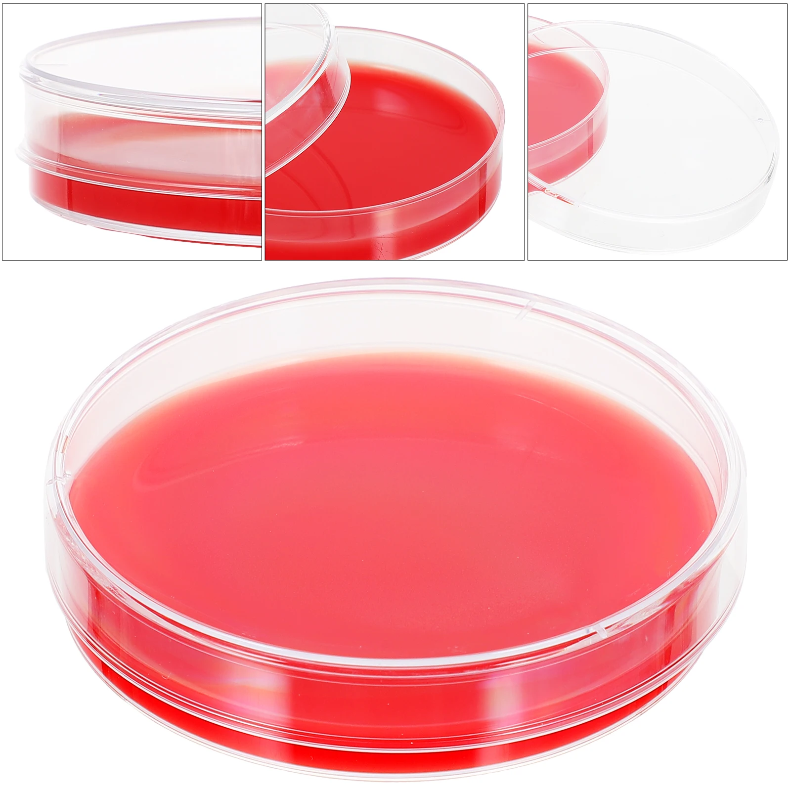 

10 Pcs Blood Agar Medium Pre Poured Plates Lab Petri Dishes Microbiology Culture