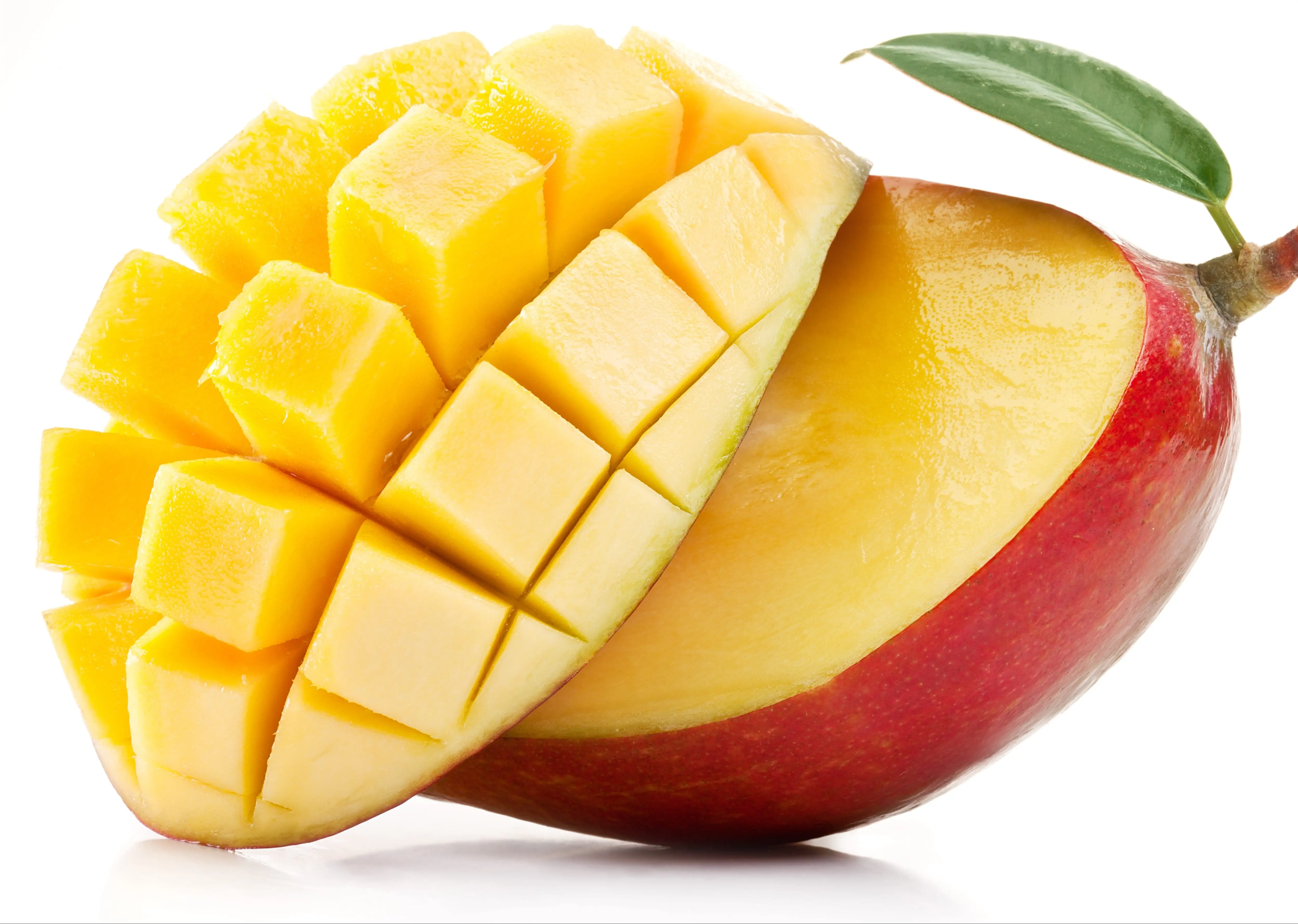 Goya premium mango jam mango jam 420g