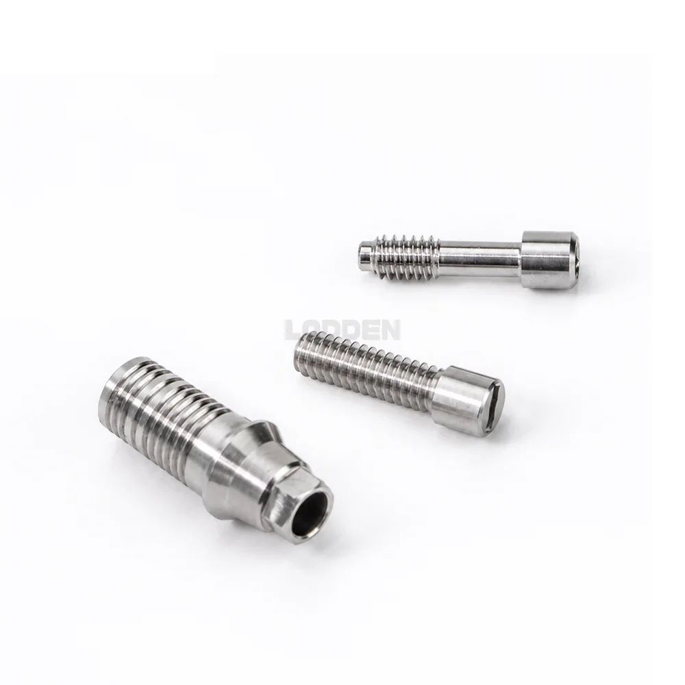 10 Stück Lodden Dental Ti-Base Hex-Retentionsschraube, kompatibel mit Osstem, Dentium, DIO, Megagen, Straumann Multi-Implantat-System – Detail 10