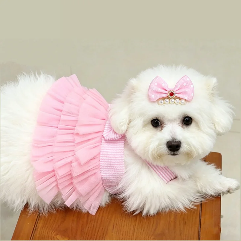 princess dress for dogs Pet Suspenders Dog Dress Girls Summer Clothes for Dogs Cat with Bowknot  Clips Lace Striped Puppy Princess Dresses Dog Tutu Skirt