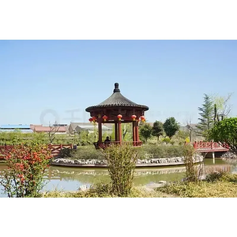 CADDXFPV Gofilm 20 4k Starlight Drone HD FPV with 1303 6000kv Motors EIS and Gyroflow Technology HD Digital VTX System
