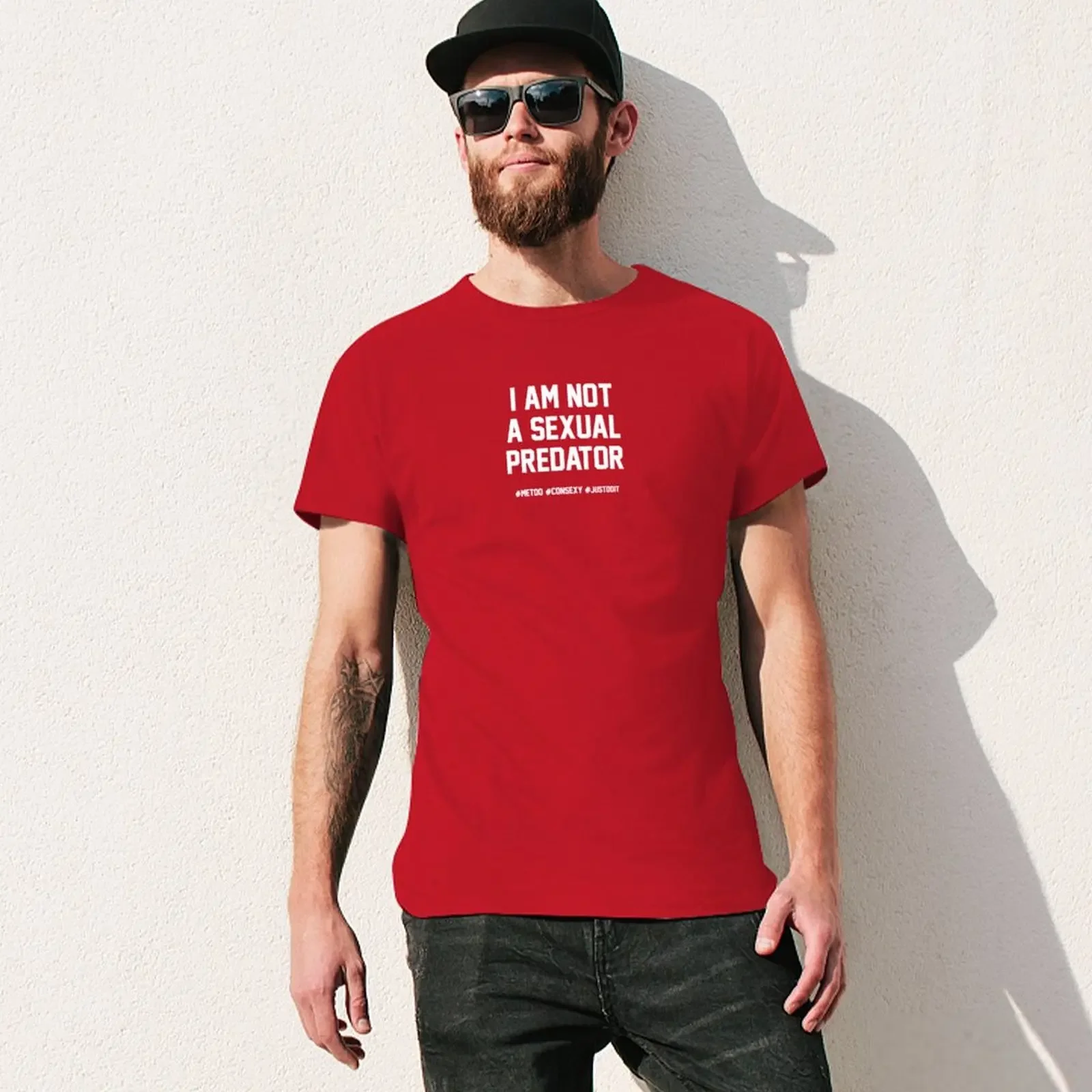 I Am Not A Sexual Predator T-shirt aesthetic clothes blanks t shirts for men graphic