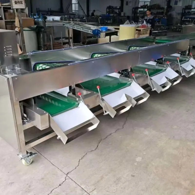 Full Auto Size Sorting 304 Stainless Steel Tomato Potato Onion Vegetable Fruit Grading Machine Fruit Sorting Machine