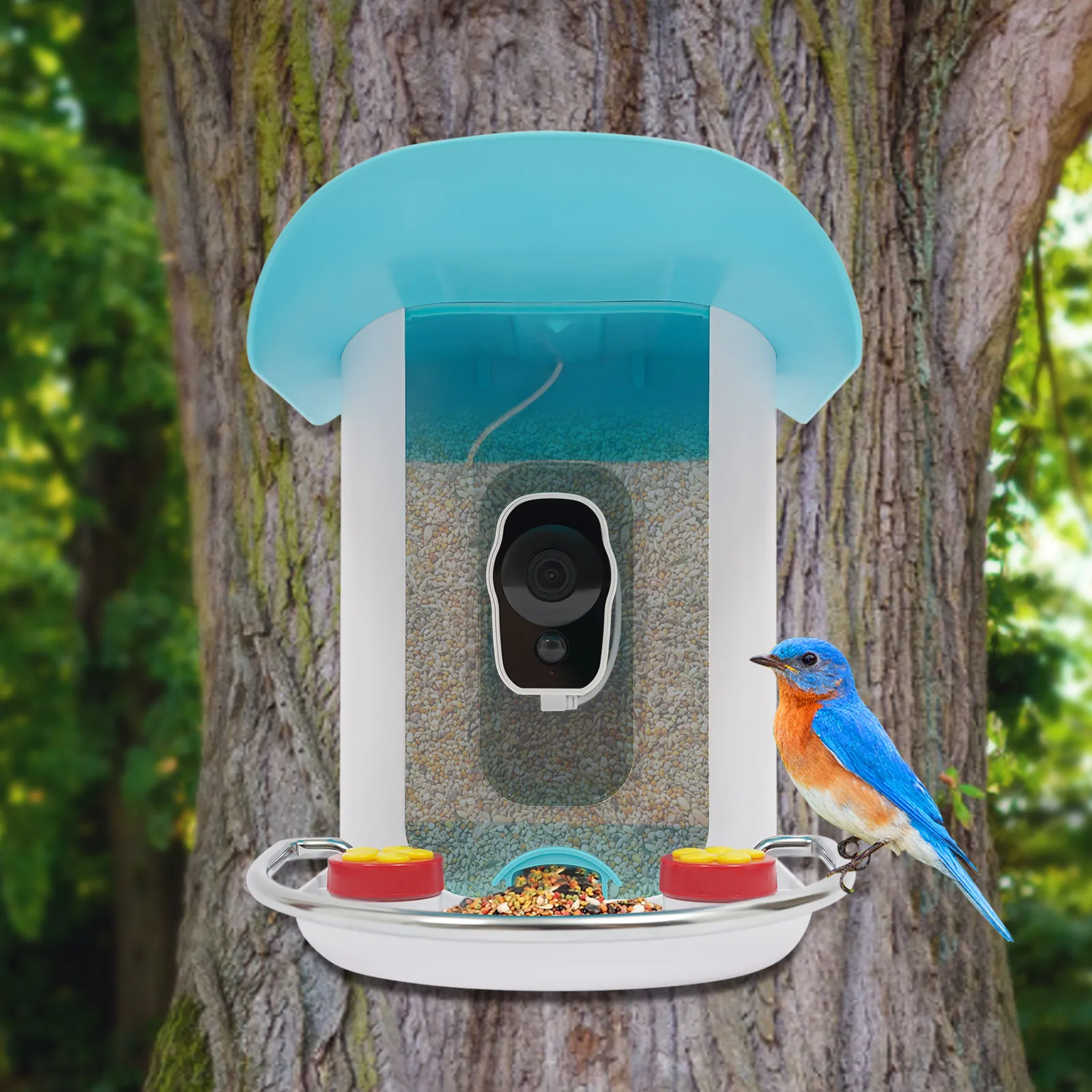 

Smart Bird Feeder with Camera, Bird House for Outside, Bird Auto Capture with Solar Panel Can Attract Sparrows, Hummingbirds