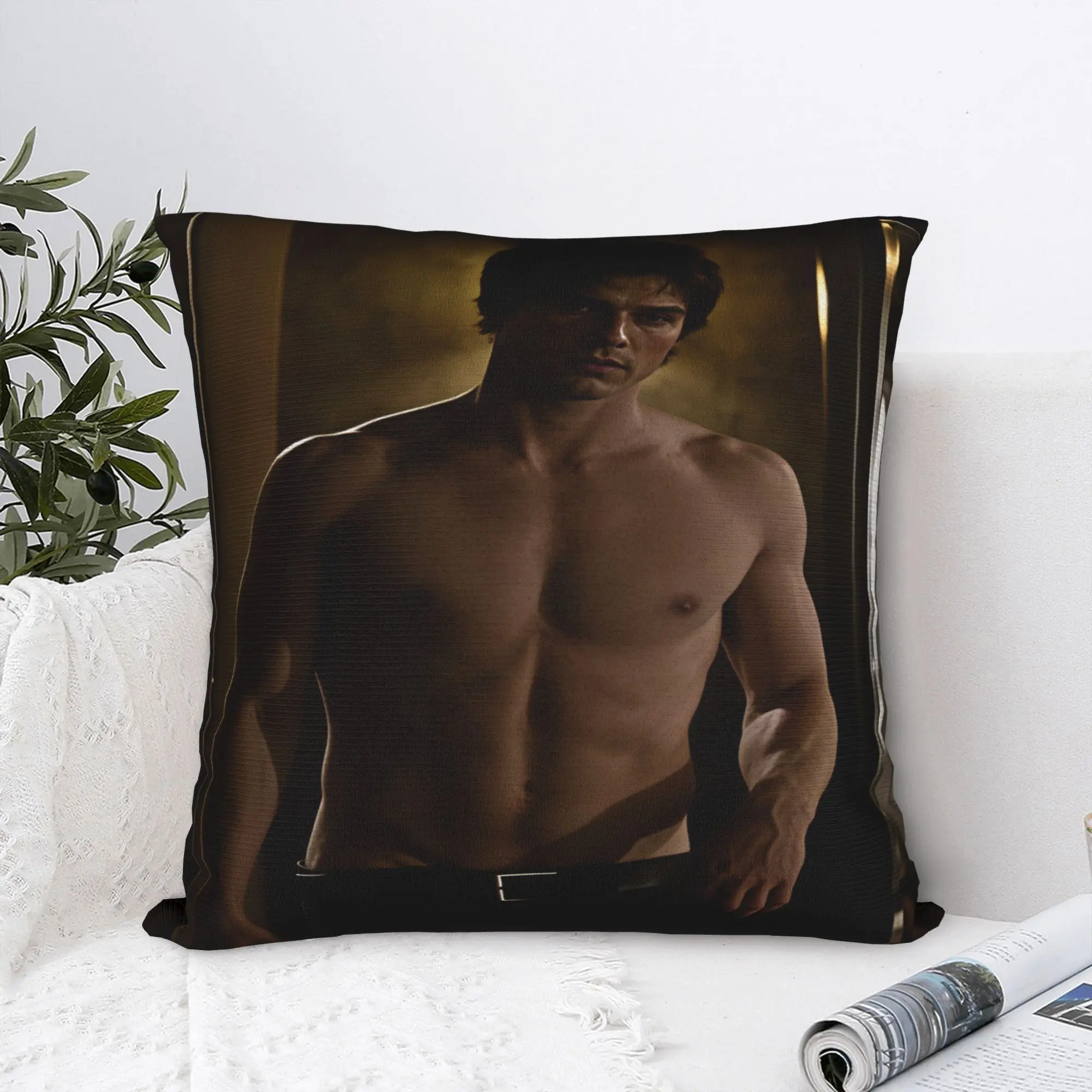 Vampire Diaries Damon Klaus  Pillow Case  Funny Pillow Cover Square Pillowcases For Sofa Home Decoration