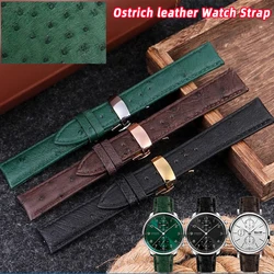 19mm 20mm 21m 22mm Ostrich leather Watch Strap Black Green Brown Women Men Watchband Accessories For longines Seiko Omega Tissot