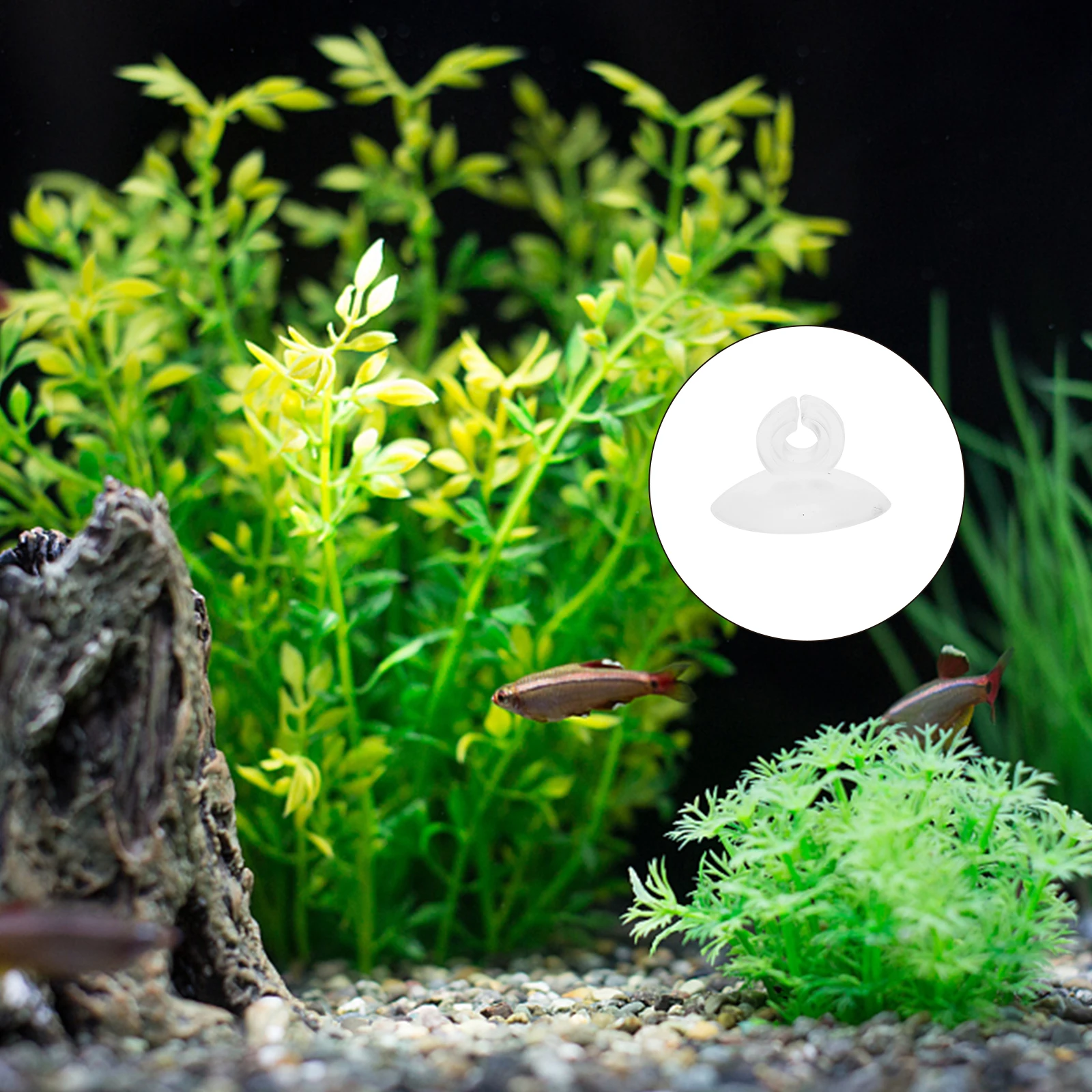 

25Pcs Aquarium Suction Cup Fixing Airline Tube Holder Silicone Clip Fish Tank Tubing Holder Accessories Aquarium Suction Cups