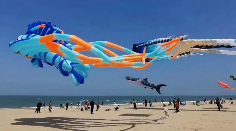 จัดส่งฟรีใหม่ kites จี้ kites แสดงบินปลา kites windsocks Inflatables kites octopus kites ปีกผีเสื้อ kevlar