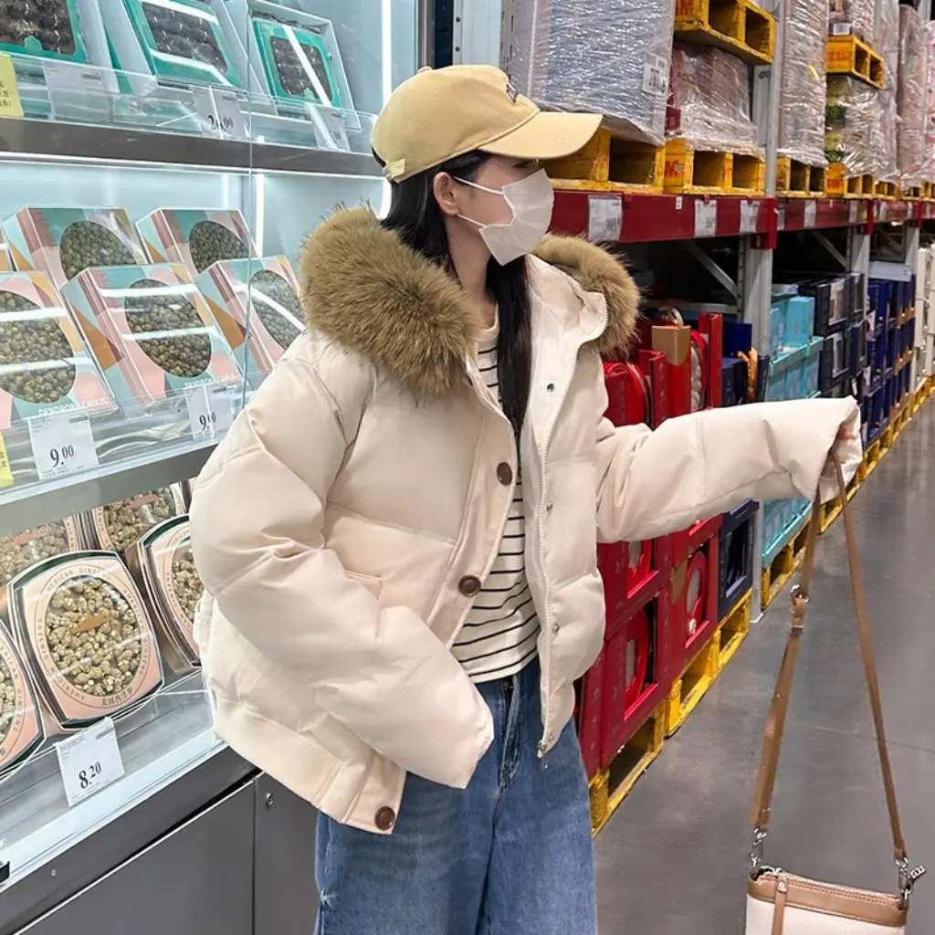 

Women's Korean down Cotton-Padded Jacket Large Wool Collar Short Design Thickened New Style for Students