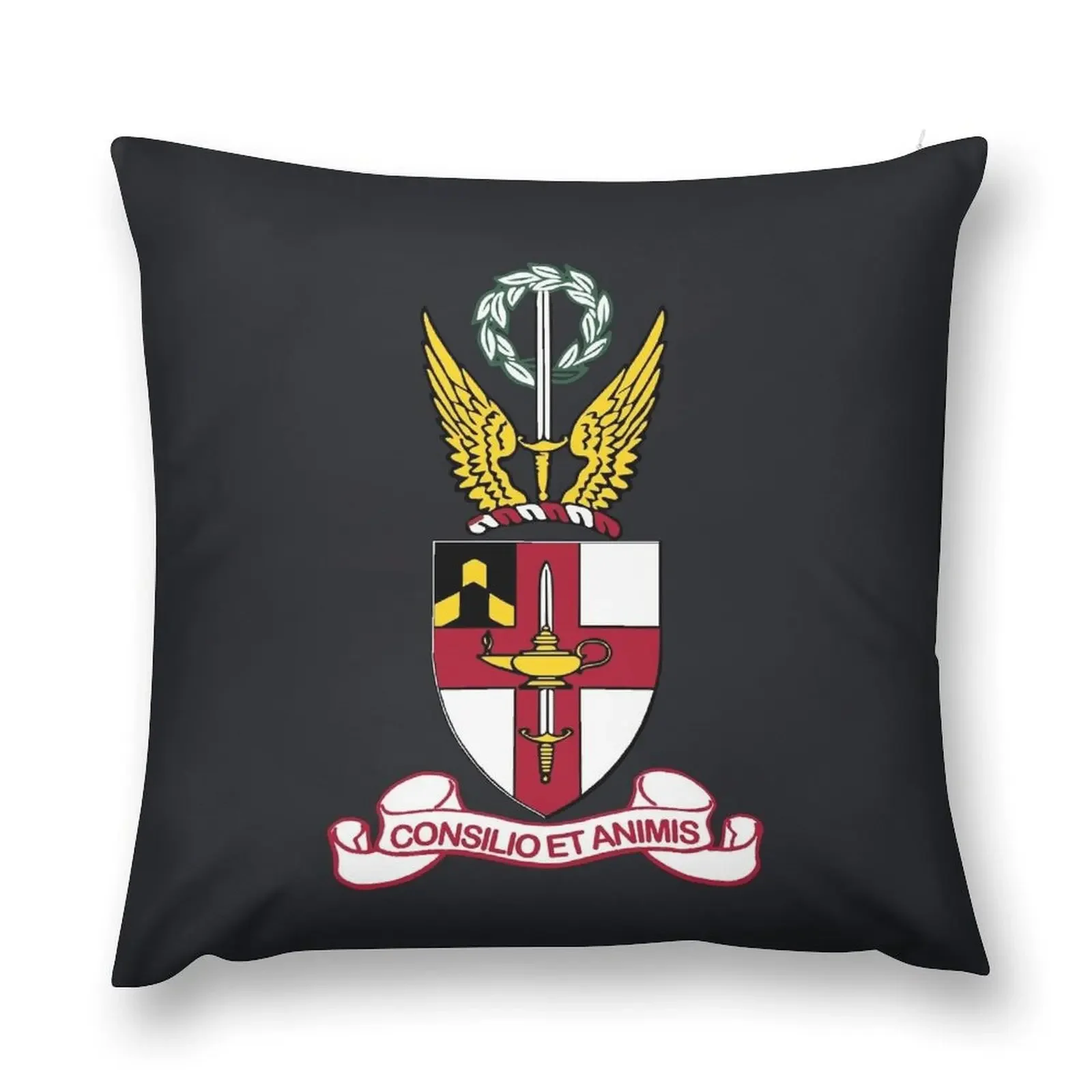 Virginia Military Institute - United States Throw Pillow Pillow Case christmas cushions covers bed pillows pillow