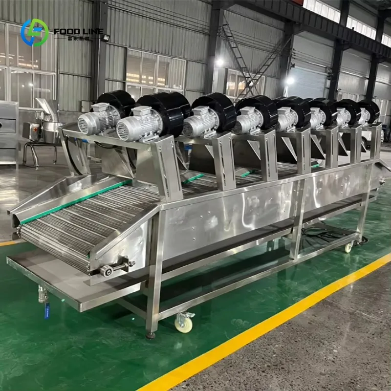 1T/h Stainless Garlic Clove Peeling Production Line Full Set with Motor Bearing Commercial Custom