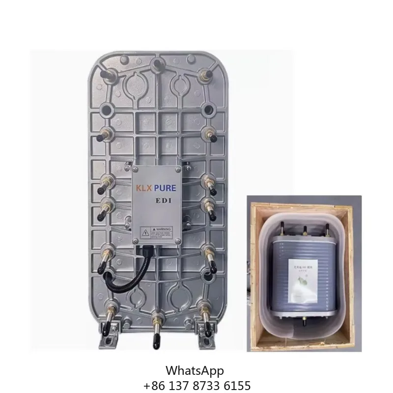 Factory Direct Electrode Ionization Water Treatment Purification EDI Model Equipment Purify 500L Per Hour For Hospital Use