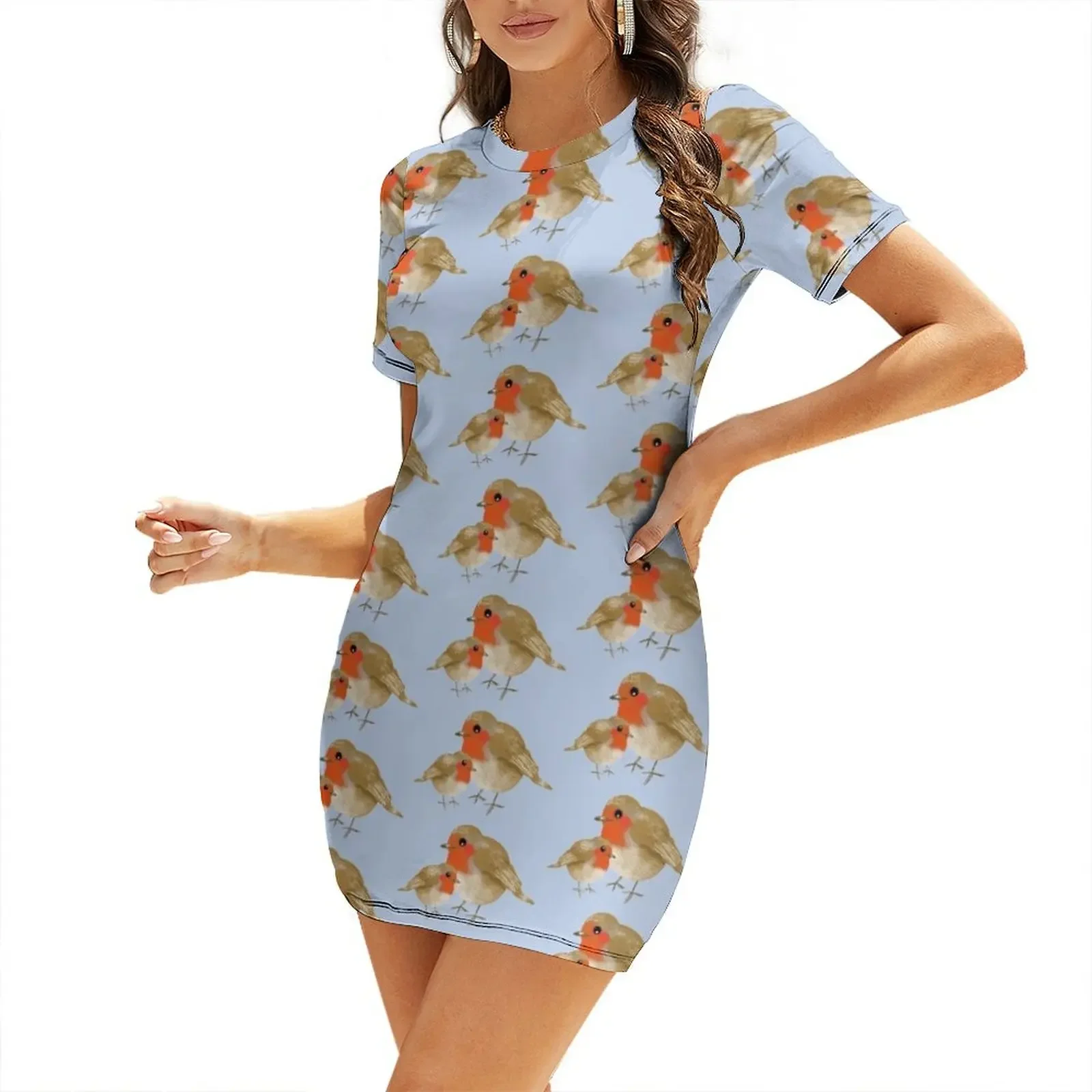 

Big and Little Robin Redbreasts Short-Sleeved Dress Women's skirt Dress