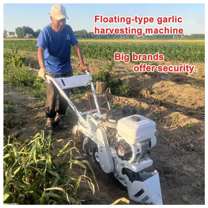 

Hot Sale Fully Automatic Garlic Combine Garlic Harvester Universal Machine Mini Garlic Harvester