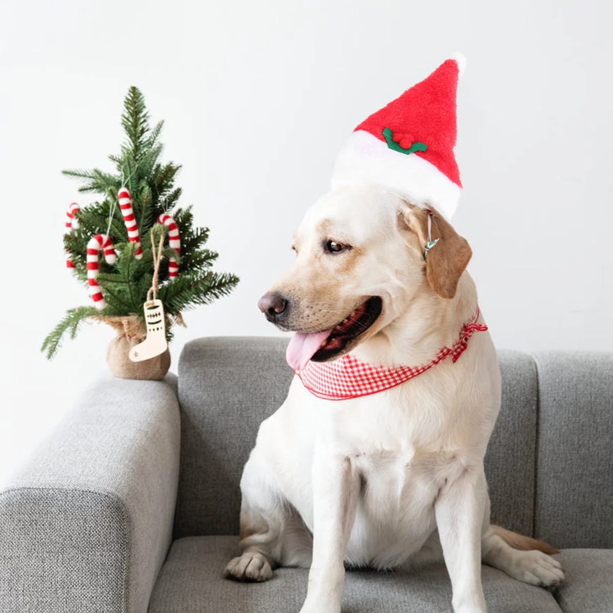 

Pet Santa Hat Collar Set Size S Adjustable Comfortable Material Christmas Holiday Dog Cat Outfit Lovely Unique