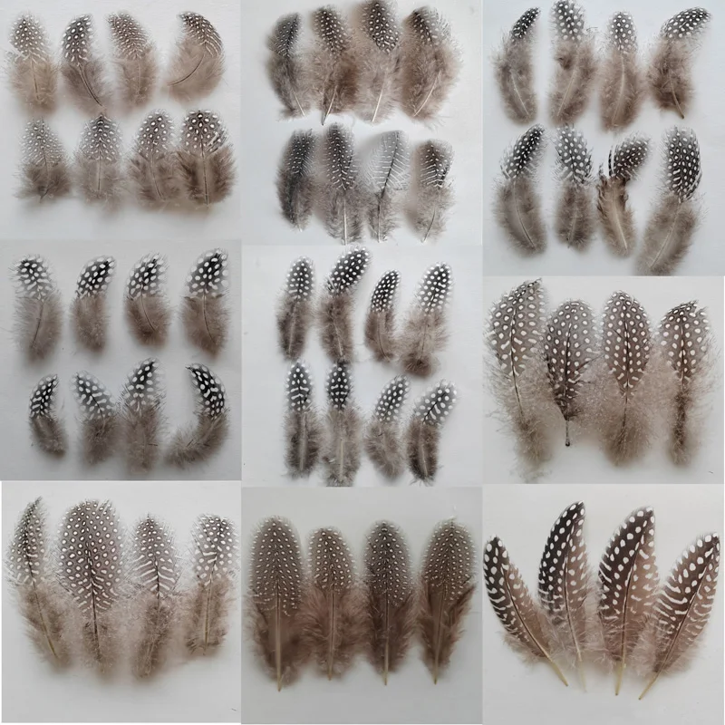 

50Pcs Natural Small Medium Big Dot Guinea Fowl Plumage Feathers For Millinery Crafts Making,Plumas Diy Clothing Accessories