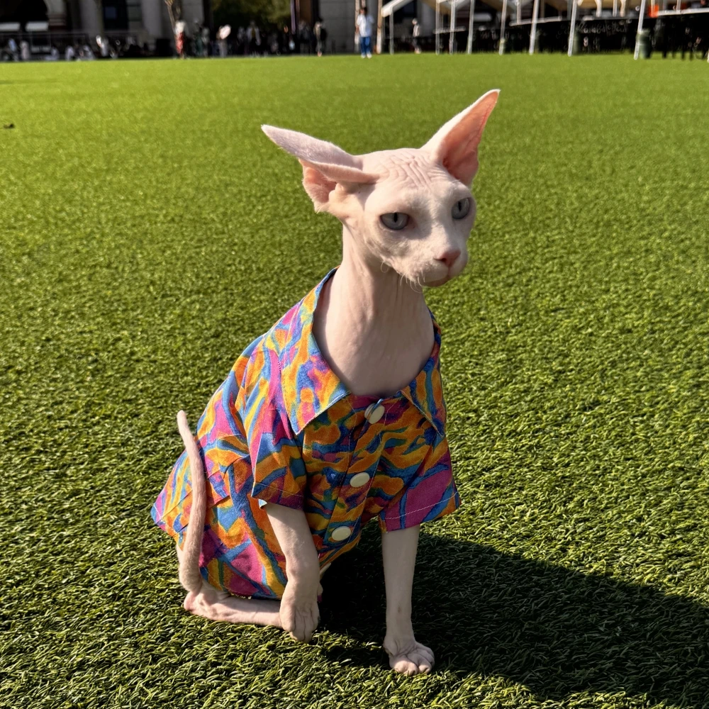 Slouchy casual Style Shirt for Sphynx Cat Summer Fashion Soft Neon Blouse For Kittens with Belly Over Size Coat for Devon Rex