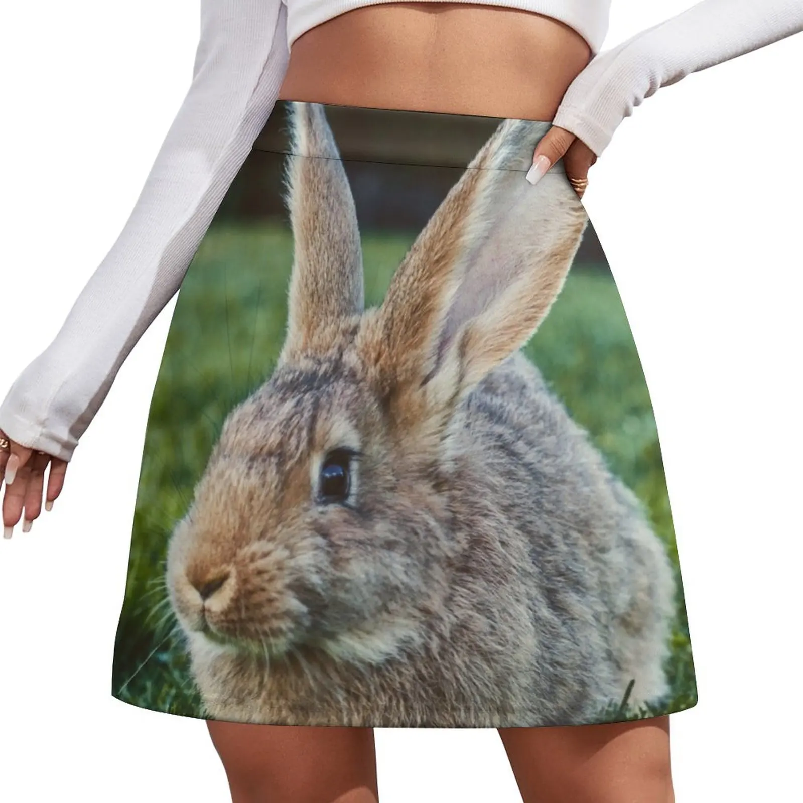 

Flemish Giant Rabbit Mini Skirt women's golf wear summer mini denim skirt Women's summer skirt for girls Mini