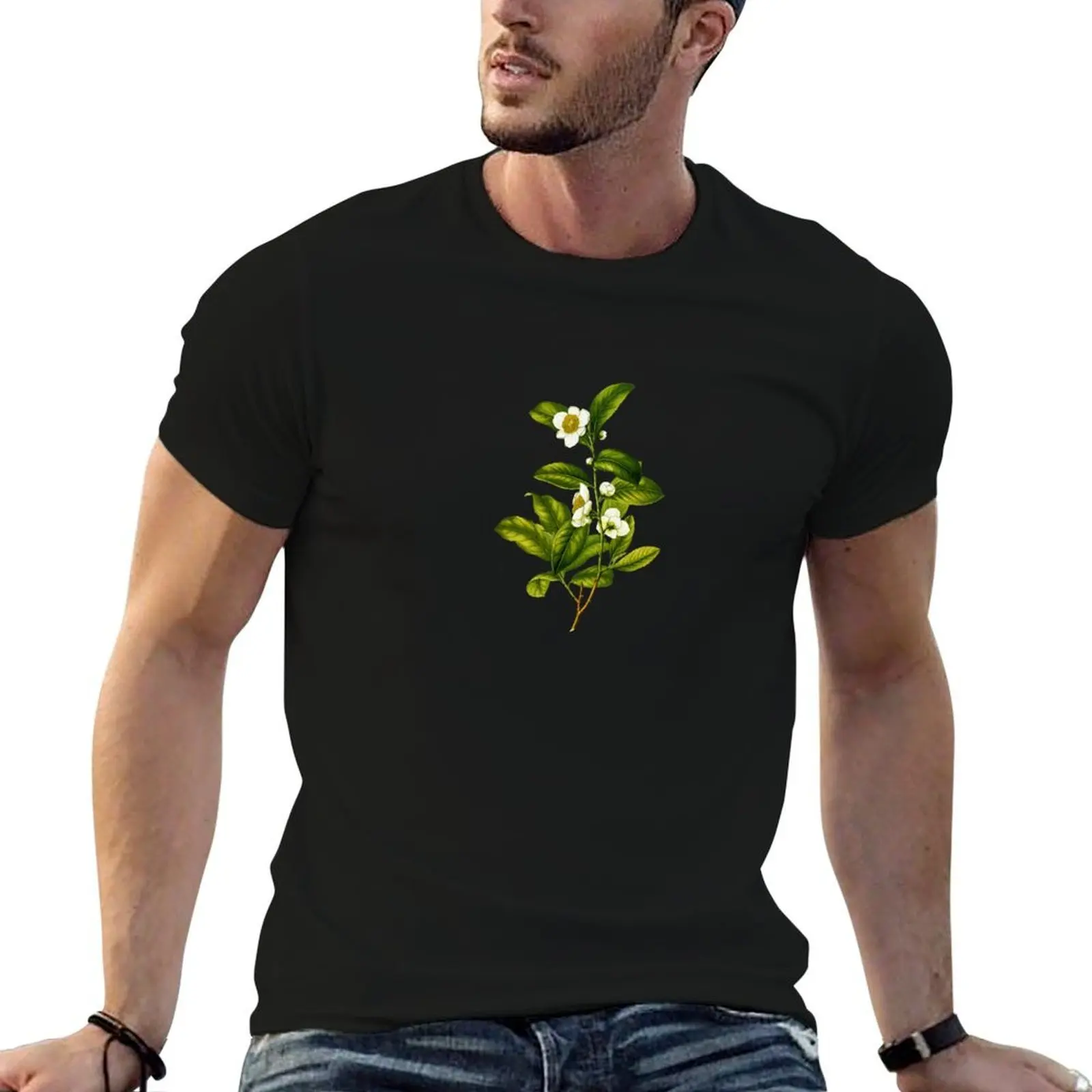 Camellia Sinensis: camiseta con ilustración de planta de té botánico, camisetas de algodón para hombre, camiseta 100% para hombre, camiseta de lujo para hombre