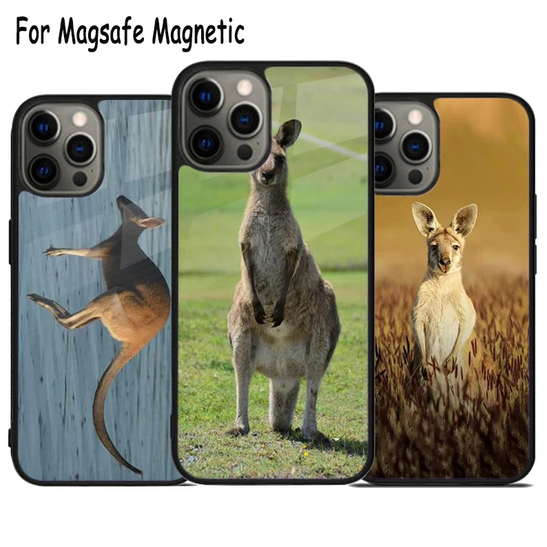 Kangaroo Joey Wireless Charge Magsafe Phone Case For iPhone 15 16 14 13 11 12 Pro Max Plus Magnetic Bumper Cover