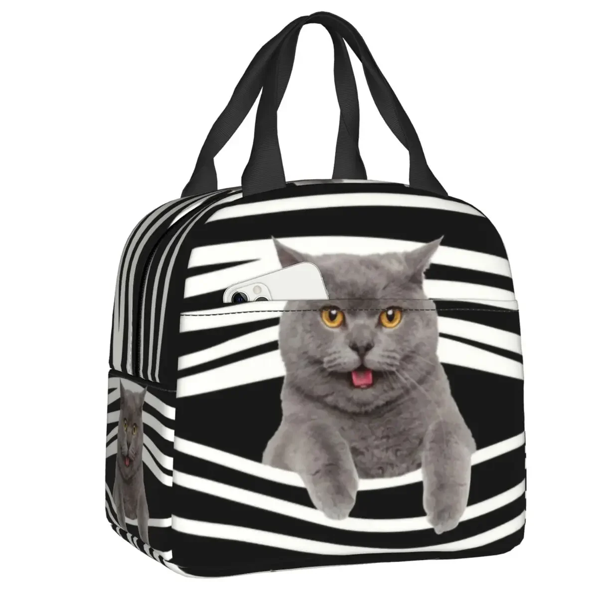 Britânico shorthair gato listras térmico isolado almoço saco feminino portátil almoço tote para trabalho escolar comida bento caixa