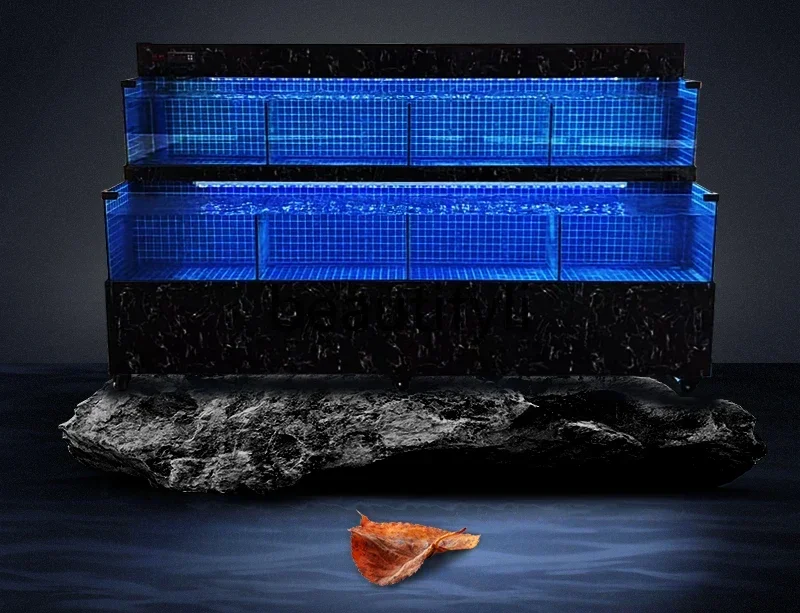 

zqq1Special seafood pond Commercial refrigeration Integrated shellfish fish pond Aquatic seafood tank