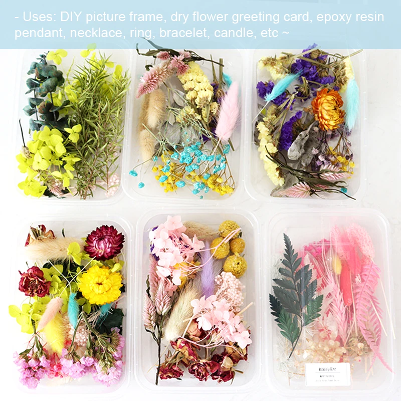 1 caixa de flores secas naturais misturadas flores secas material diy arte decorações florais coleção presente artesanato diy decoração para casa