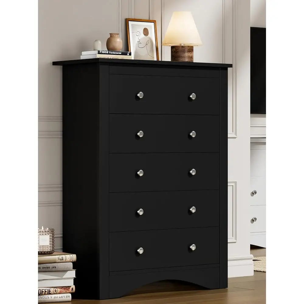 DAFIFY 5단 서랍장, 넓은 수납장, 옷장 정리함, 복도용 블랙