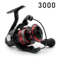 3000