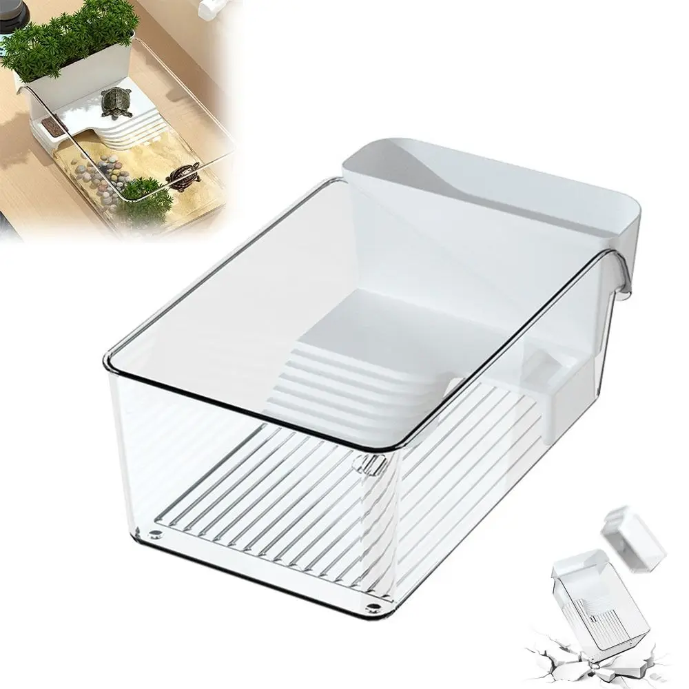 Transparent Turtle …