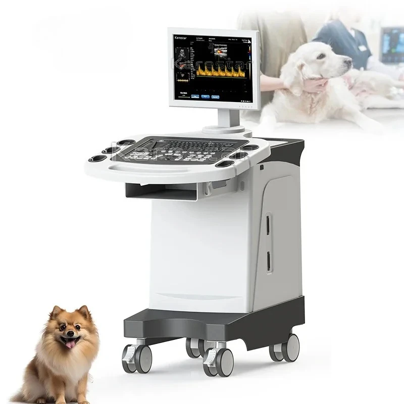 

2025.4 Высококачественный 19-дюймовый цветной тележки для животных, ветеринарный инструмент