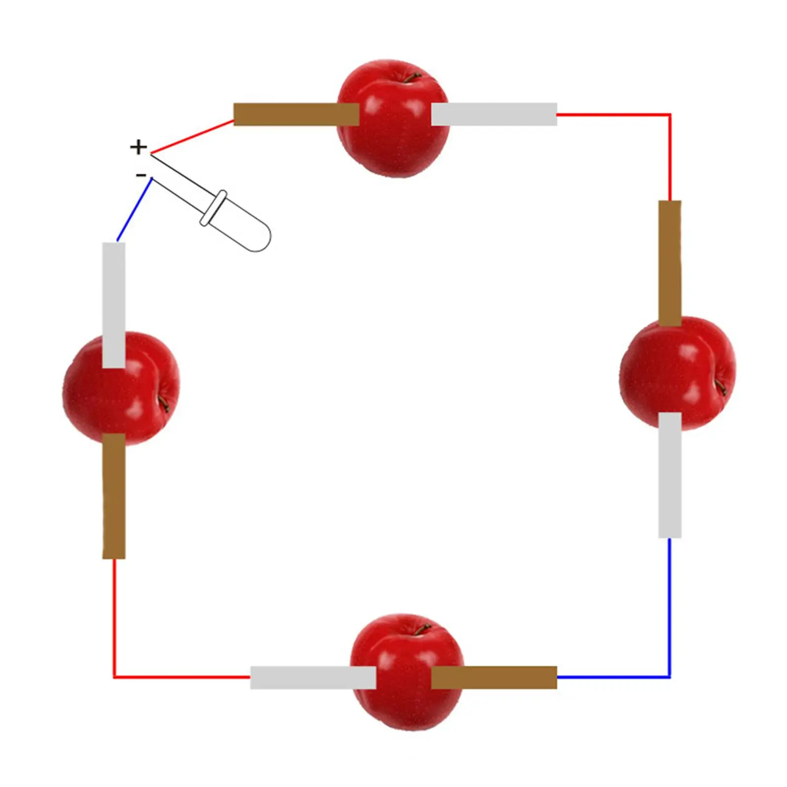 Obst Batterie Wissenschaft Experiment Kit Zitrone Batterie Kit Physik Elektrizität Kit Wissenschaft Energie Labor Kits für Kinder Kartoffel Orange