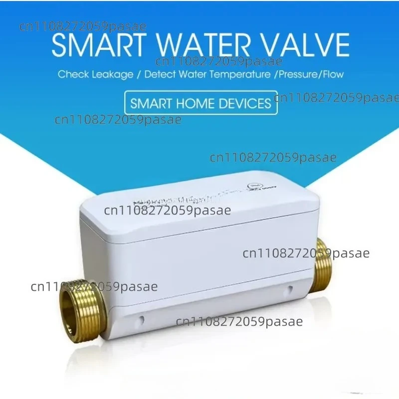 Wireless Smart Water Valve for Outdoor Smart Home System Mobile Phone and Voice Control