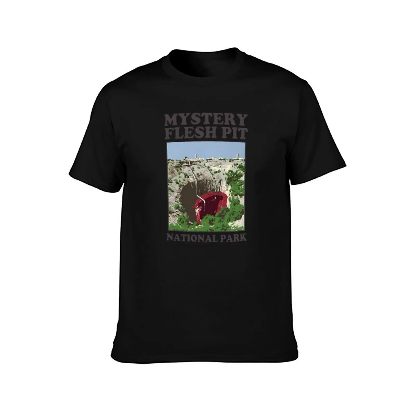 Mystery Flesh Pit National Park A Disaster Reclamation Venture T-Shirt Work Daily Short Sleeve Top T-Shirt