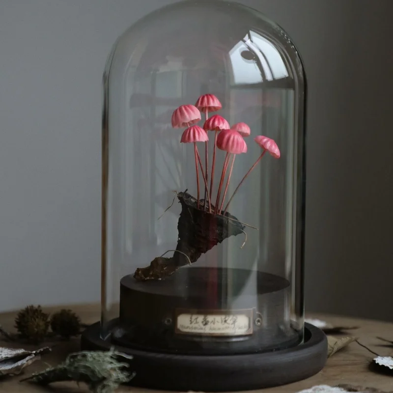 Ornamentos de cogumelo artesanais feitos à mão, brinquedos de mesa, coleção de arte personalizável e decoração, presente para crianças