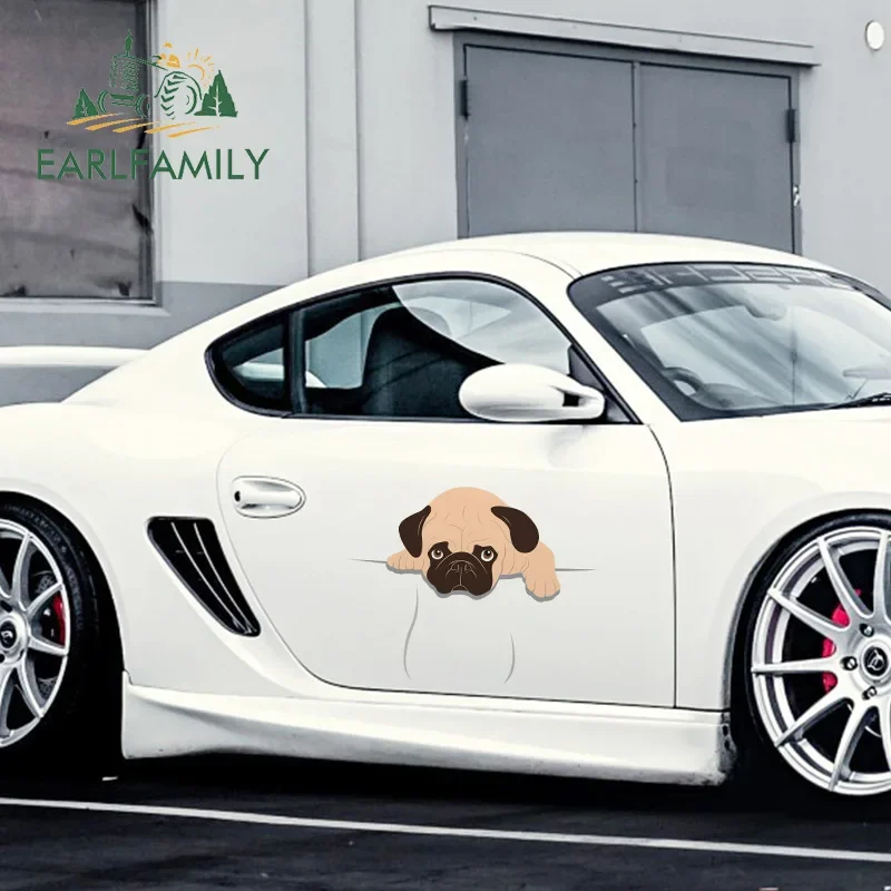 EARLFAMILY 43cm x 34cm for PUG Car Stickers Waterproof Decal Personality Motorcycle Decals Scratch-Proof For JDM SUV RV