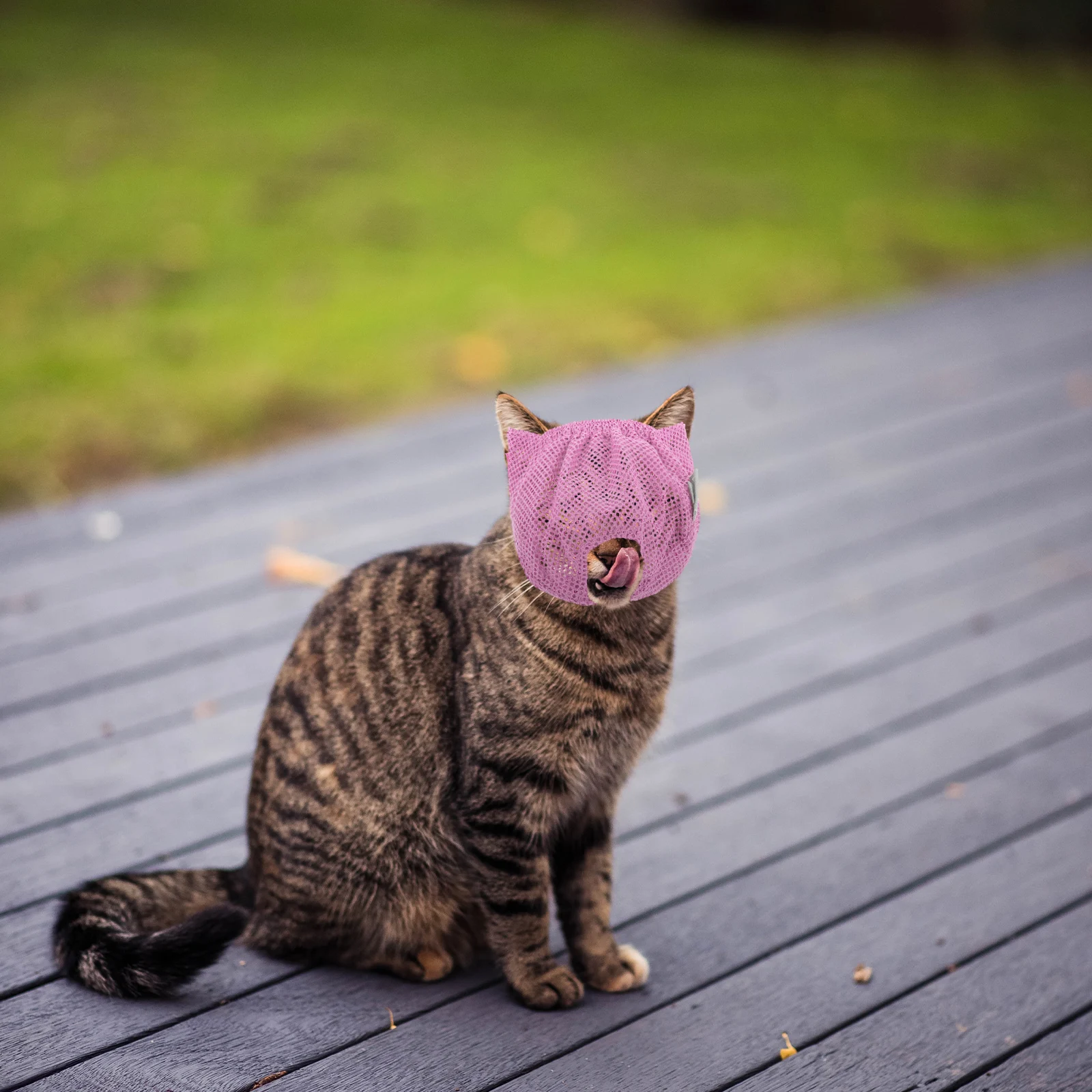 

Cat Muzzle Breathable Polyester Mesh Face Cover Anti Bite Lightweight Pet Mask Suitable Home Hospital Use Pet Supplies Dog