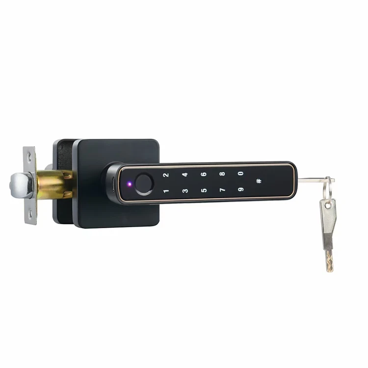 Intelligent Digital Fingerprint Lever Handle Lock  App Keyless Entry Interior Bedroom Electronic  Ble APP Smart Lock