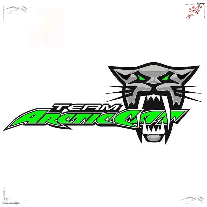 

Decorative Accessories Car Stickers Team Arctic Cat Roar Anime Funny Cartoon Vinyl JDM Bumper Trunk Decal 13x6cm