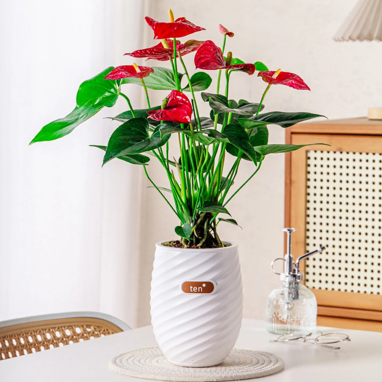 Fashion Self Watering Hydroponic Plants Pot Plastic Succulents Planter Tabletop Vase Flowerpot Home Office Decorative Flower Pot