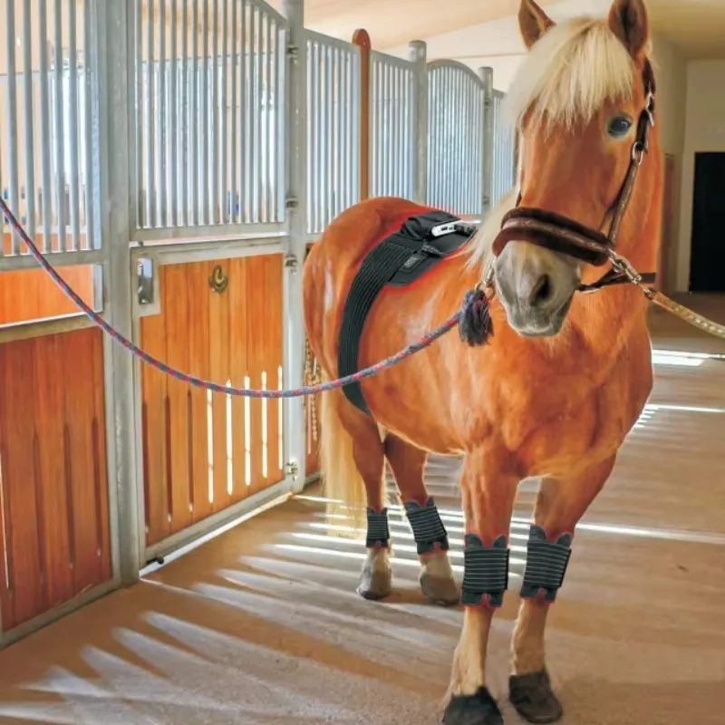Horse Pet Use Pulsed LED Therapy Pad 635nm 850nm Red Light Therapy for Face Feet Eyes Lips