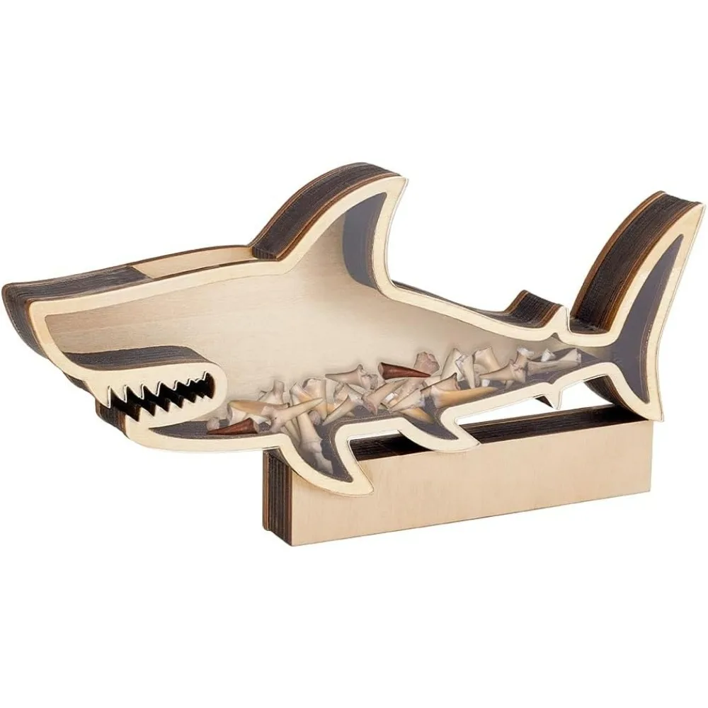 Shark Teeth Display Box Shark Teeth Holder Presentation Box for Home Party Decorations Storage Box for Gemstones making kit