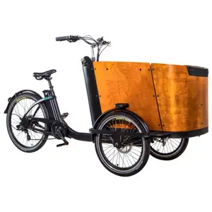 Cargo Bike Family AliExpress