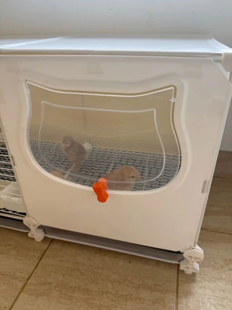 For Chicken Cage Large Household Encrypted Wire Small Pet Feeding Box Tray Toilet Integrated Duck Cage
