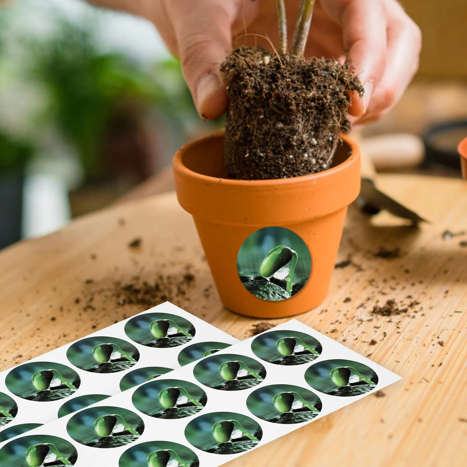 

5 листов сверхбольших самоклеящихся водонепроницаемых этикеток из ПВХ для рассады, гидропоники, маркировки растений и организации садовых горшков