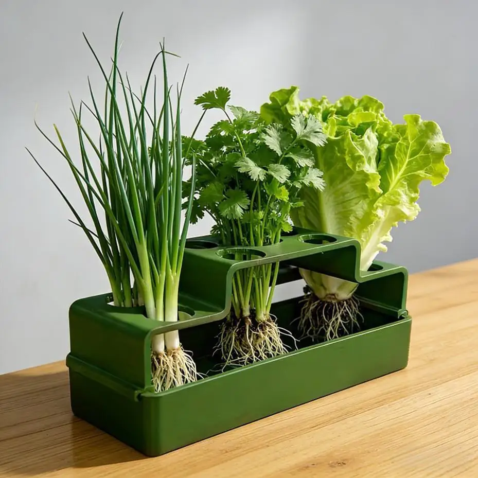1 Pcs Planting Device Specifically Designed For Green Onions Featuring A Hydroponic System That Allows For Repeated Growth
