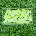 XZ018 50PCS 06
