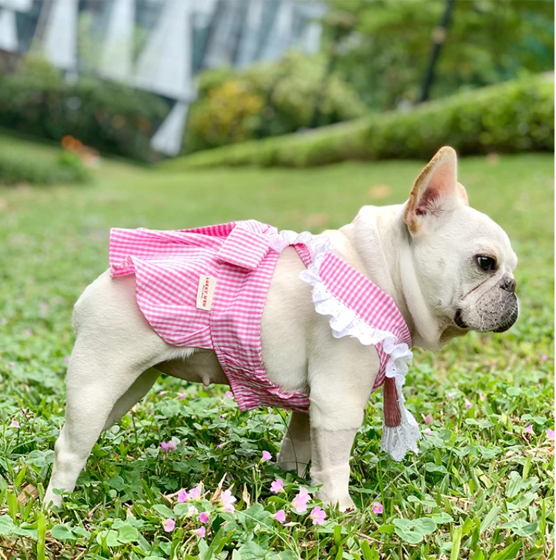 

Summer Dog Dress French Bulldog Clothes Puppy Skirt Pomeranian Bichon Poodle Schnauzer Pug Welsh Corgi Clothing Pet Costume