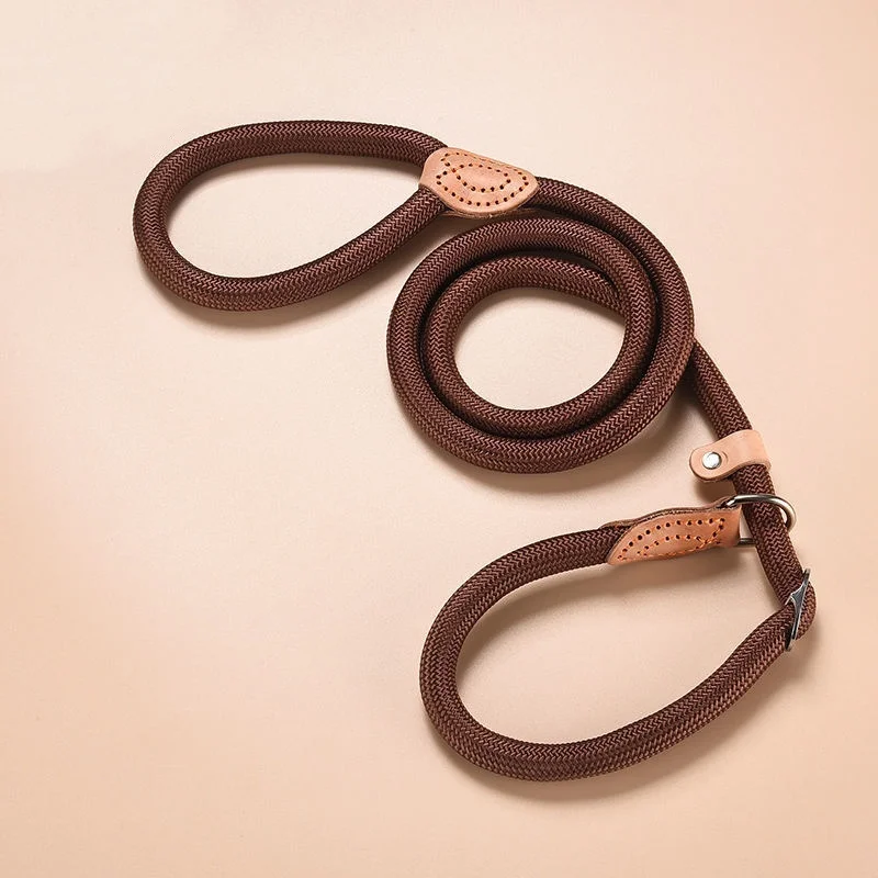 New Heavy Duty Dog Leash Slip Rope Lead Adjustable Braided Loop Collar Training Leash for Small to Medium Dogs